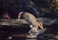 gefallen Deer Realismus Maler Winslow Homer